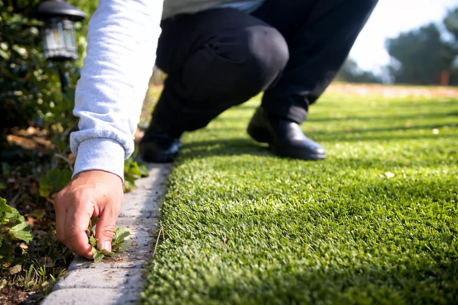 Debris and weed removal